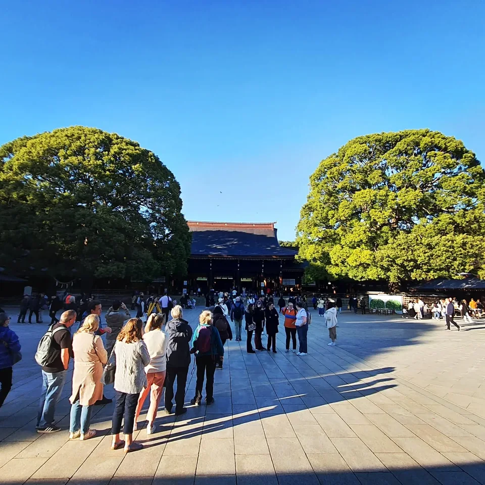 明治神宮、參道與菊花展,原貼文第 2 張照片