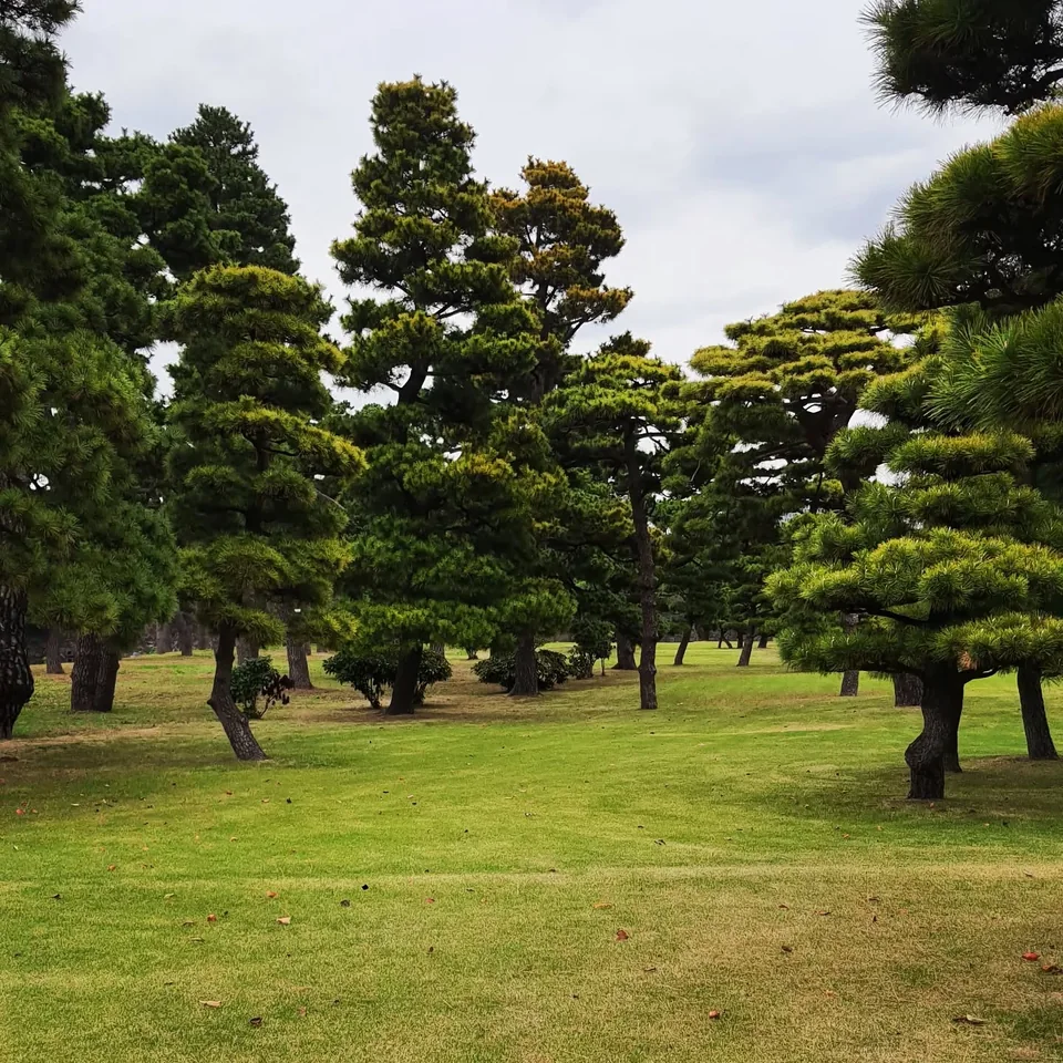 二重橋,原貼文第 3 張照片
