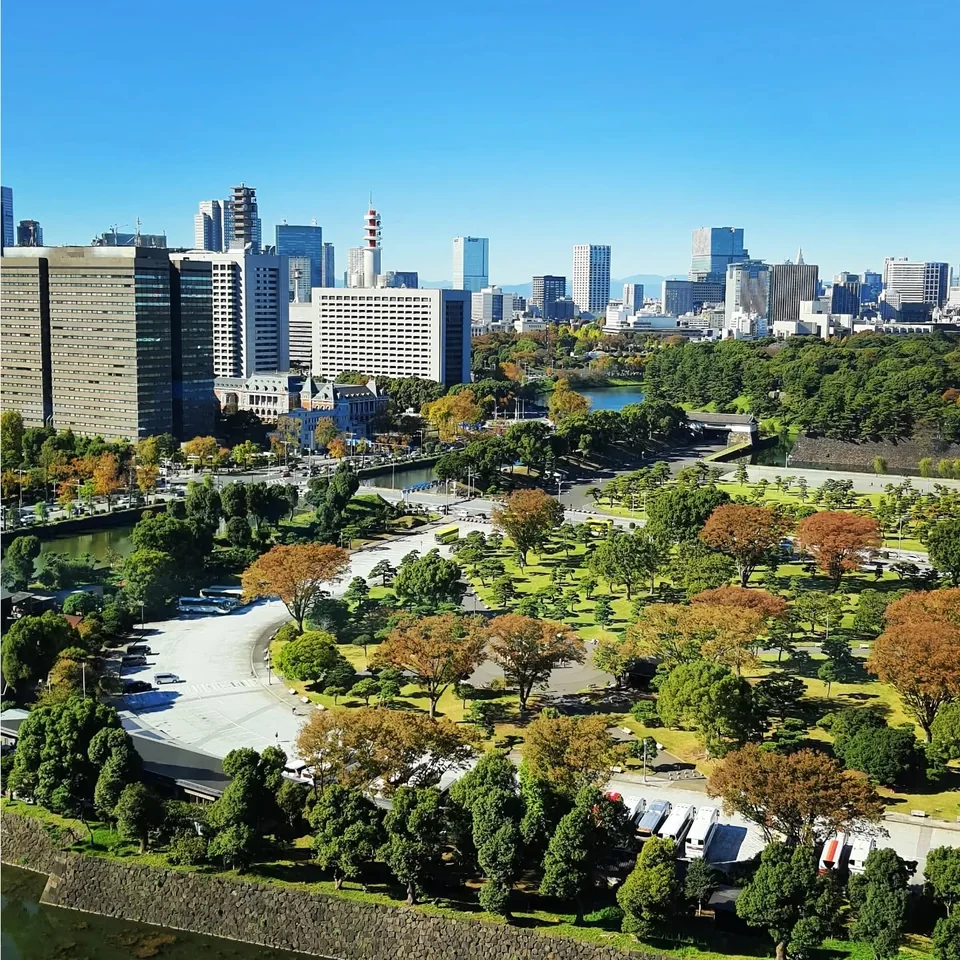 辦公室窗外的皇居景觀,原貼文第 1 張照片