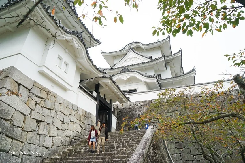 伊賀忍者博物館與伊賀上野城